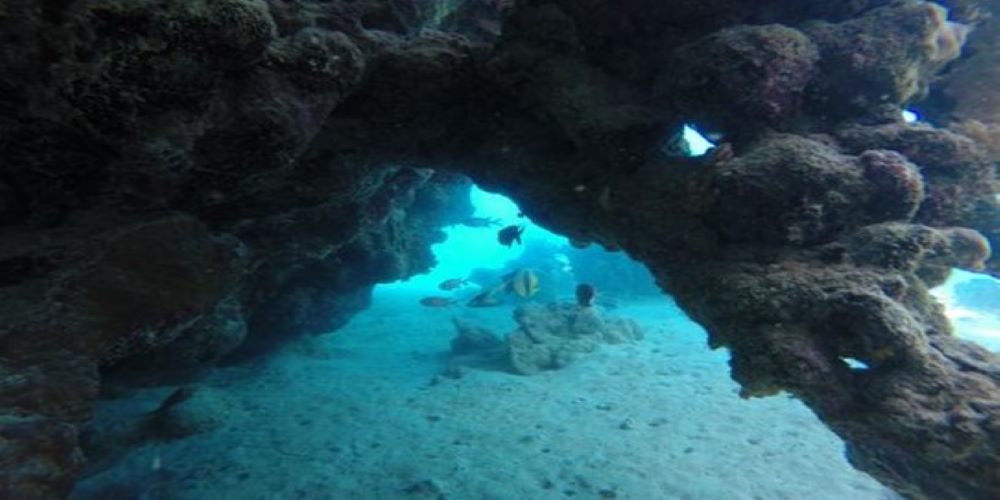 Itinerary Divesite