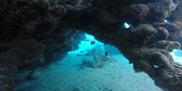 Dive Site