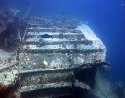 SS Thistlegorm