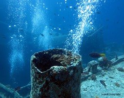 SS Thistlegorm