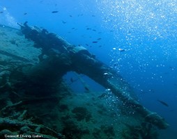 SS Thistlegorm