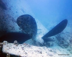 SS Thistlegorm