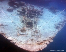 SS Thistlegorm